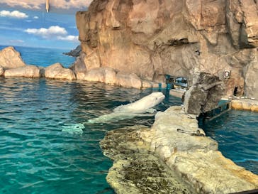 名古屋港水族館に投稿された画像（2022/7/29）