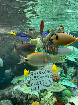 名古屋港水族館に投稿された画像（2022/7/29）