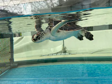 名古屋港水族館に投稿された画像（2022/7/29）