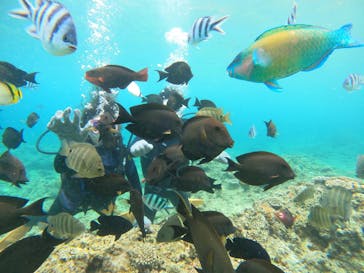 沖縄マリンサービス碧に投稿された画像（2022/7/29）