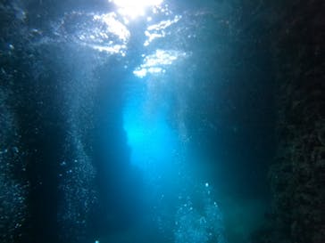 沖縄マリンサービス碧に投稿された画像（2022/7/29）