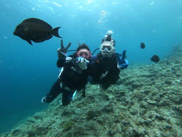 武藤潜水に投稿された画像（2022/7/29）