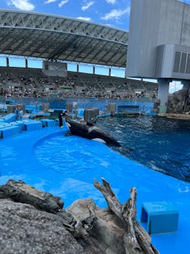 名古屋港水族館に投稿された画像（2022/7/29）