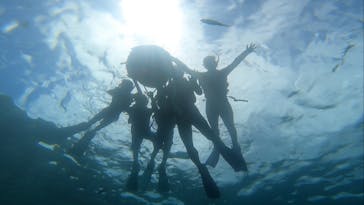 DIVING-SHOP SUNSに投稿された画像（2022/7/29）