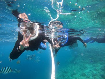 DIVING-SHOP SUNSに投稿された画像（2022/7/29）