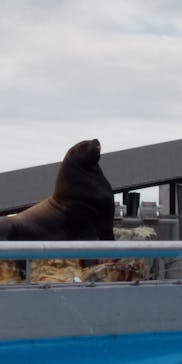 大分マリーンパレス水族館 「うみたまご」に投稿された画像（2022/7/29）
