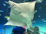 サンシャイン水族館に投稿された画像（2022/7/29）