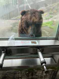 のぼりべつクマ牧場に投稿された画像（2022/7/29）