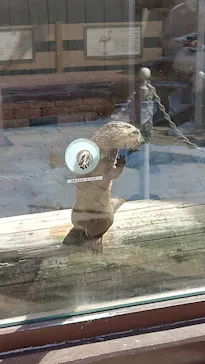 横浜・八景島シーパラダイスに投稿された画像（2022/7/29）