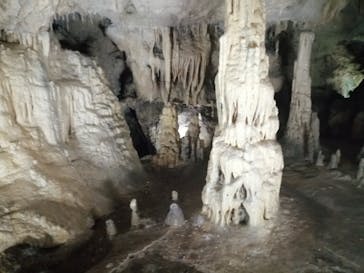 あぶくま洞に投稿された画像（2022/7/29）