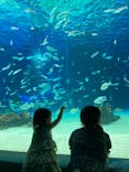 サンシャイン水族館に投稿された画像（2022/7/29）