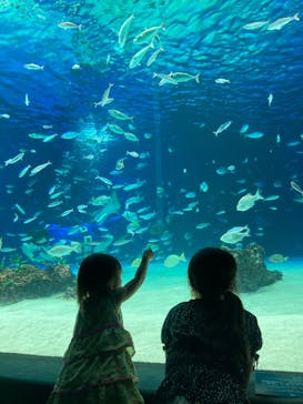 サンシャイン水族館に投稿された画像（2022/7/29）