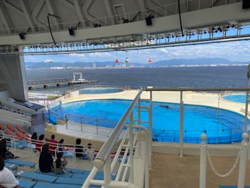 マリンワールド海の中道に投稿された画像（2022/7/29）