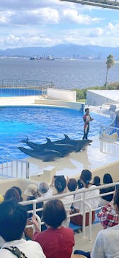 マリンワールド海の中道に投稿された画像（2022/7/29）