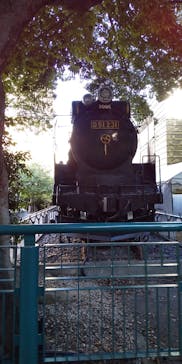 国立科学博物館に投稿された画像（2022/7/29）