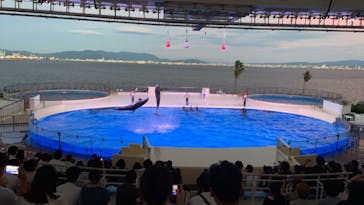 マリンワールド海の中道に投稿された画像（2022/7/29）