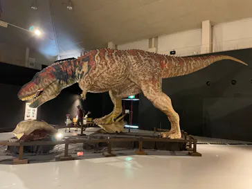 ひらかたパークに投稿された画像（2022/7/29）