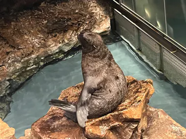 すみだ水族館に投稿された画像（2022/7/29）