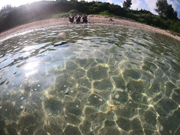 武藤潜水に投稿された画像（2022/7/29）