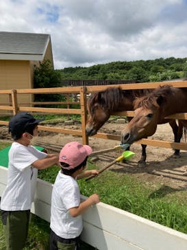那須どうぶつ王国に投稿された画像（2022/7/29）