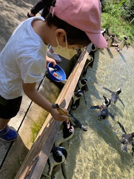 那須どうぶつ王国に投稿された画像（2022/7/29）