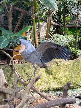 那須どうぶつ王国に投稿された画像（2022/7/29）