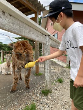 那須どうぶつ王国に投稿された画像（2022/7/29）