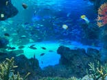 サンシャイン水族館に投稿された画像（2022/7/30）