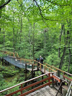 軽井沢おもちゃ王国に投稿された画像（2022/7/29）