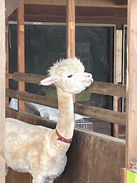 那須高原りんどう湖ファミリー牧場に投稿された画像（2022/7/30）