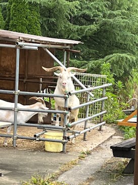 那須高原りんどう湖ファミリー牧場に投稿された画像（2022/7/30）