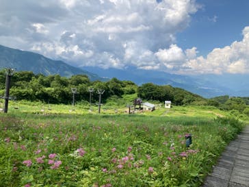 白馬五竜高山植物園に投稿された画像（2022/7/30）