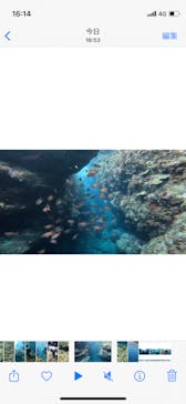 青の洞窟専門店　沖縄ダイビングショップ和に投稿された画像（2022/7/30）