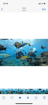 青の洞窟専門店　沖縄ダイビングショップ和に投稿された画像（2022/7/30）