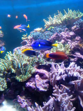 横浜・八景島シーパラダイスに投稿された画像（2022/7/30）