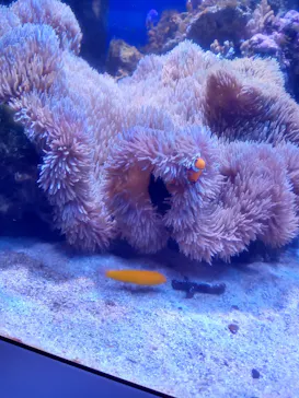 横浜・八景島シーパラダイスに投稿された画像（2022/7/30）