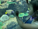 アクアワールド茨城県大洗水族館に投稿された画像（2022/7/30）