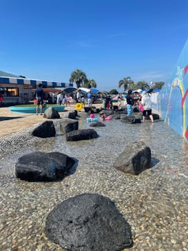 蓮沼ウォーターガーデンに投稿された画像（2022/7/30）