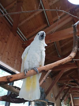 長崎バイオパークに投稿された画像（2022/7/30）