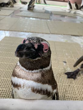 株式会社Gに投稿された画像（2022/7/30）