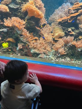 株式会社Gに投稿された画像（2022/7/30）