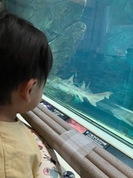 株式会社Gに投稿された画像（2022/7/30）