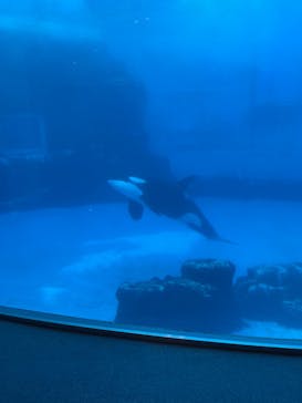 名古屋港水族館に投稿された画像（2022/7/30）