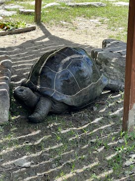 長崎バイオパークに投稿された画像（2022/7/30）