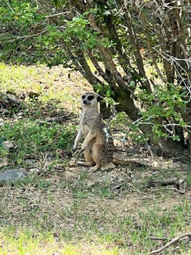 長崎バイオパークに投稿された画像（2022/7/30）