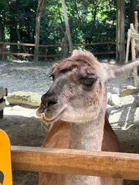 長崎バイオパークに投稿された画像（2022/7/30）