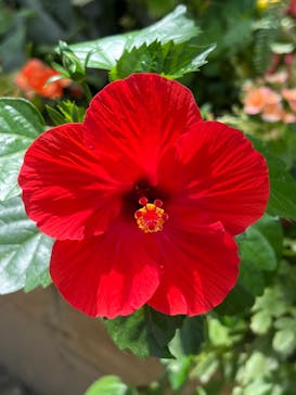 長崎バイオパークに投稿された画像（2022/7/30）