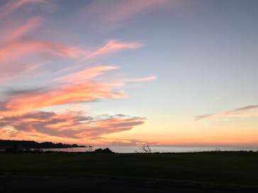 芝政ワールドに投稿された画像（2022/7/30）