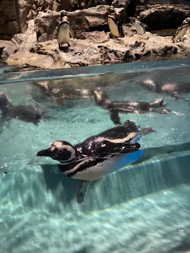 すみだ水族館に投稿された画像（2022/7/30）