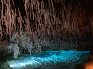 おきなわワールドに投稿された画像（2022/7/30）